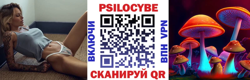 OMG вход  Ряжск  Галлюциногенные грибы GOLDEN TEACHER 